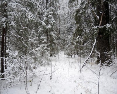 DSCN7938.JPG