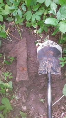 20160624_123228.jpg