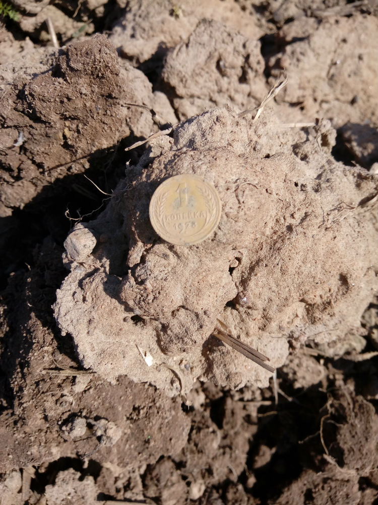 20190501_115621.jpg