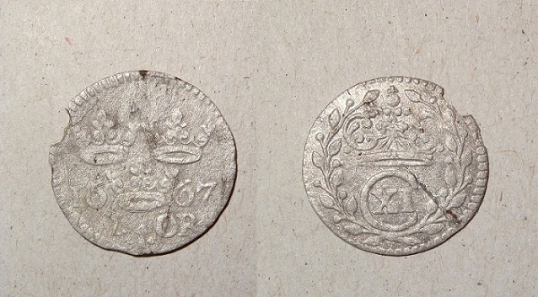 Швед1667